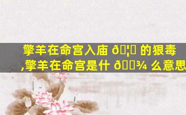 擎羊在命宫入庙 🦆 的狠毒,擎羊在命宫是什 🌾 么意思